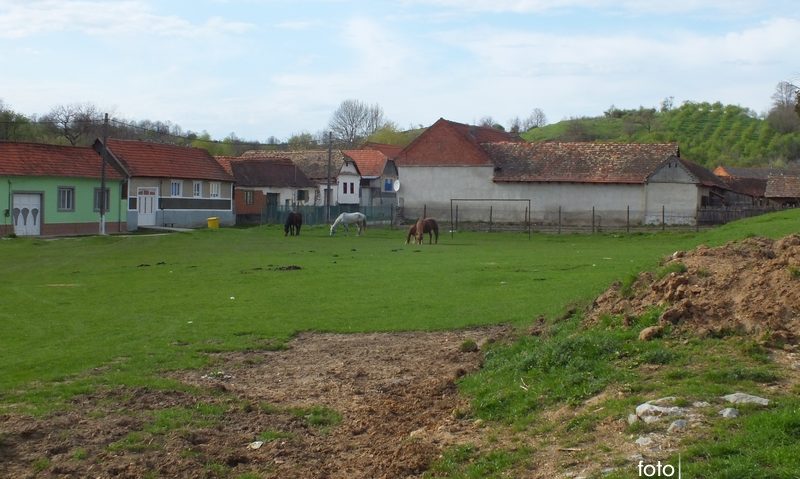 Caraş-Severin şi Arad, judeţe cu populaţie preponderent rurală Caraş-Severin şi Arad, judeţe cu populaţie preponderent rurală