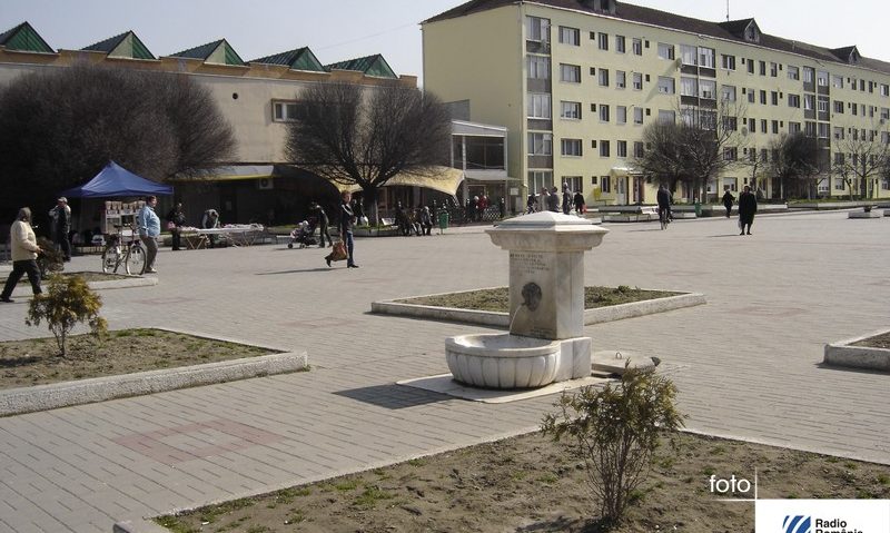 Administraţia locală din Oţelu Roşu se implică în problema câinilor maidanezi Administraţia locală din Oţelu Roşu se implică în problema câinilor maidanezi