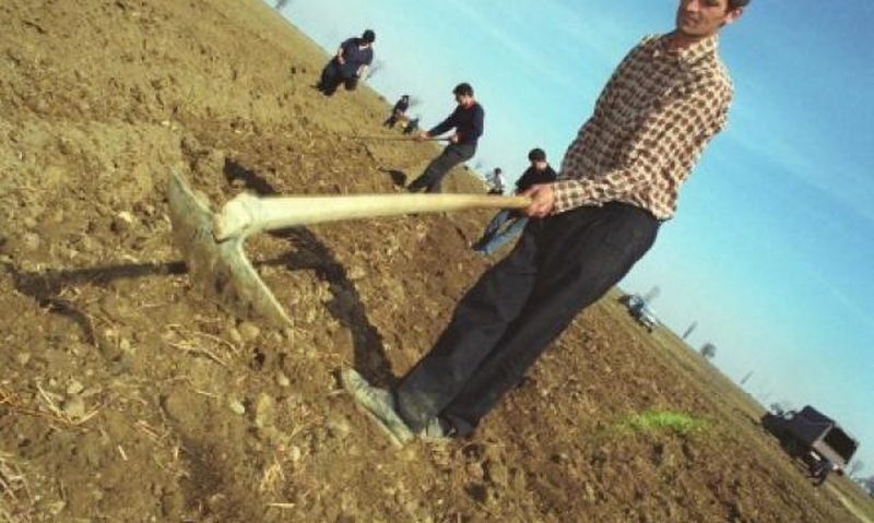 Mii de cereri de sprijin pe suprafaţă în Arad şi Mehedinţi Mii de cereri de sprijin pe suprafaţă în Arad şi Mehedinţi