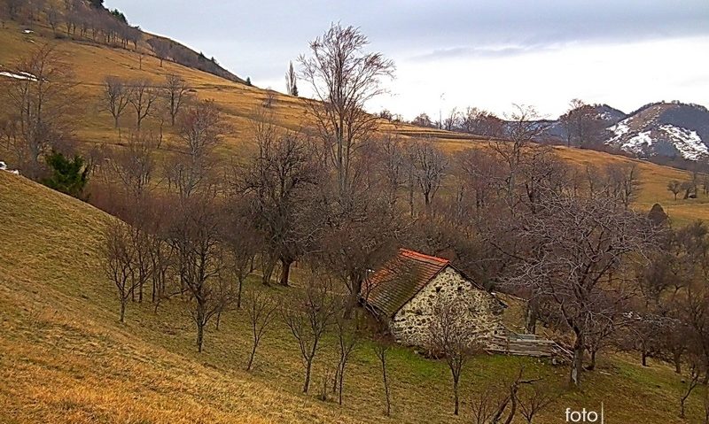 Edilii armenişeni promovează agroturismul în zonă Edilii armenişeni promovează agroturismul în zonă