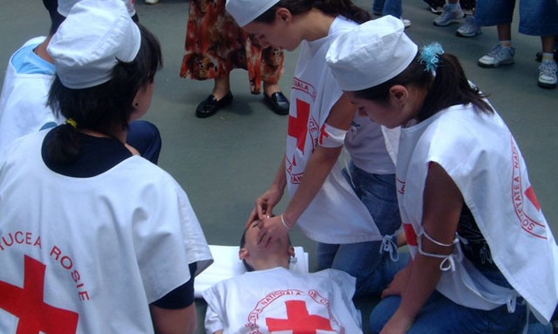 Cei mai pricepuţi sanitari Cei mai pricepuţi sanitari