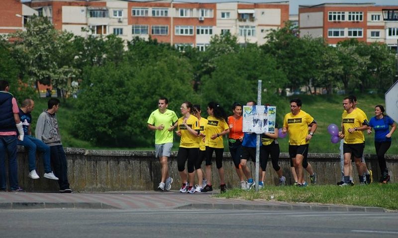 Şedinţă de Consiliu Local la Lugoj Şedinţă de Consiliu Local la Lugoj