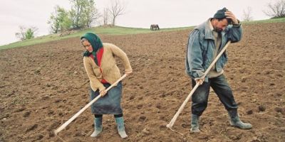 Termen limită pentru fermierii care solicită sprijinul pe suprafaţă Termen limită pentru fermierii care solicită sprijinul pe suprafaţă