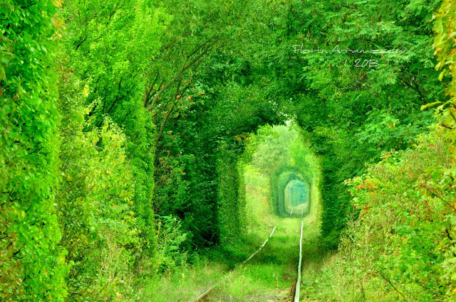 [GALERIE FOTO] „Tunelul dragostei” din România descoperit în Caraş-Severin