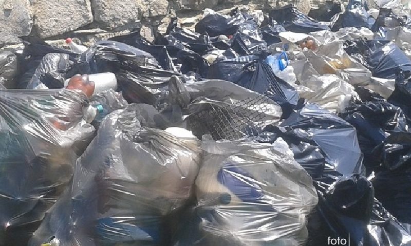 Curăţenie de primăvară în Clisura Dunării Curăţenie de primăvară în Clisura Dunării