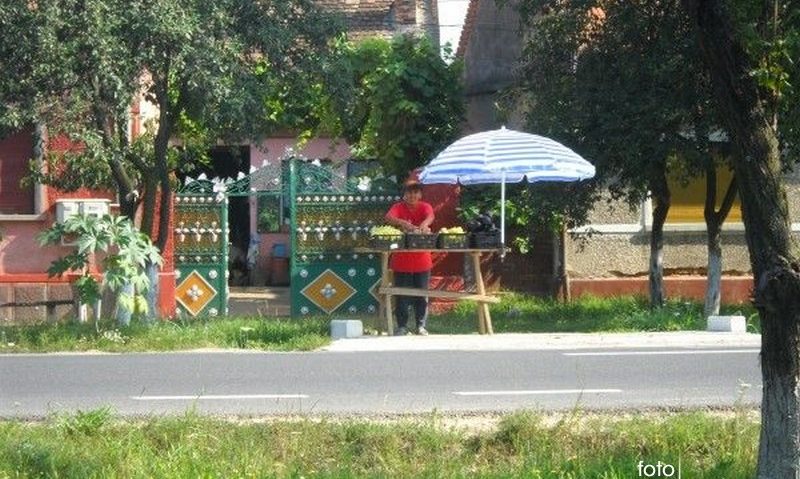 Centru pentru preluarea, ambalarea şi conservarea de legume-fructe, la Lugoj Centru pentru preluarea, ambalarea şi conservarea de legume-fructe, la Lugoj