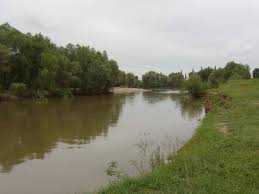Tribut adus inconştienţei Tribut adus inconştienţei