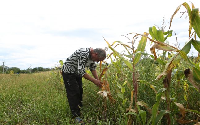 Comisie mixtă de evaluare a pagubelor în agricultură Comisie mixtă de evaluare a pagubelor în agricultură