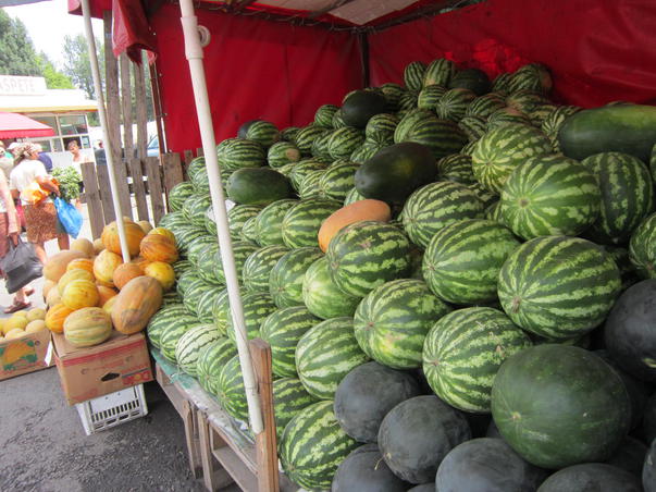 [FOTO] Lubeniţa – fructul verii