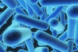 Numărul infecţiilor nosocomiale a crescut dramatic în judeţul Caraş-Severin! Numărul infecţiilor nosocomiale a crescut dramatic în judeţul Caraş-Severin!
