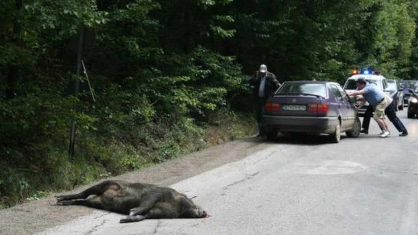 Mistreții pe șosea Mistreții pe șosea