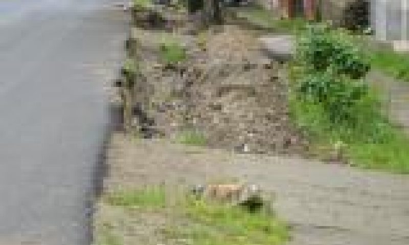 Se sapă dar nu oricum, la Caransebeș Se sapă dar nu oricum, la Caransebeș