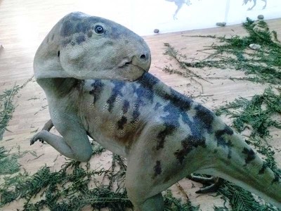 Dinozaurii din Ţara Haţegului se întorc acasă Dinozaurii din Ţara Haţegului se întorc acasă