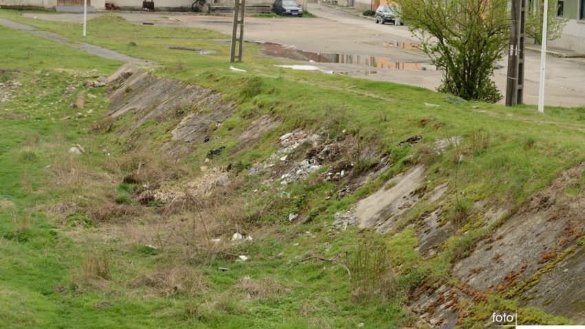 Iarba verde de acasă Iarba verde de acasă