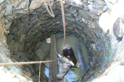 DSP pregătit să intervină pentru a curăţa fântânile contaminate! DSP pregătit să intervină pentru a curăţa fântânile contaminate!