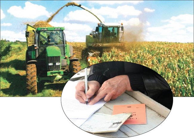 Rentierii agricoli îşi mai pot viza carnetele până la sfârşitul lunii Rentierii agricoli îşi mai pot viza carnetele până la sfârşitul lunii