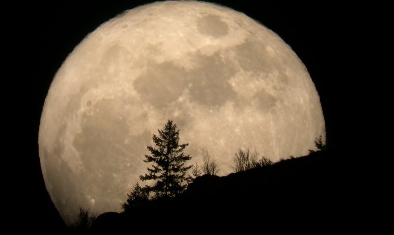 SUPER LUNA 2014, fenomenul astronomic a fost vizibil noaptea trecută SUPER LUNA 2014, fenomenul astronomic a fost vizibil noaptea trecută