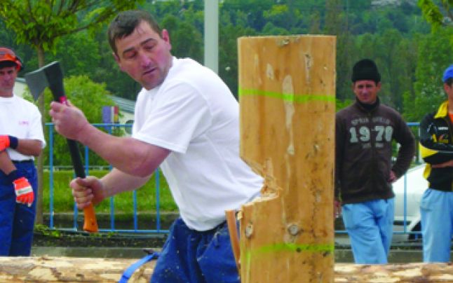 Începe Campionatul Naţional al Tăietorilor de lemne Începe Campionatul Naţional al Tăietorilor de lemne