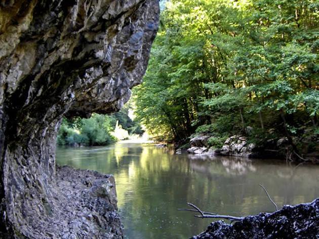 Zona Cheile Nerei, propusă ca destinație de ecoturism Zona Cheile Nerei, propusă ca destinație de ecoturism