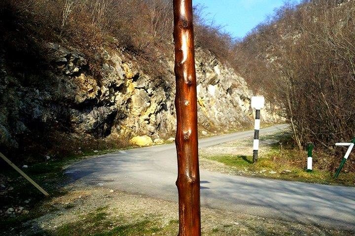 Parcurile naţionale cărăşene în vizorul rangerilor Parcurile naţionale cărăşene în vizorul rangerilor