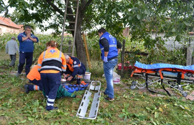 A ajuns la spital după ce a căzut din nuc A ajuns la spital după ce a căzut din nuc