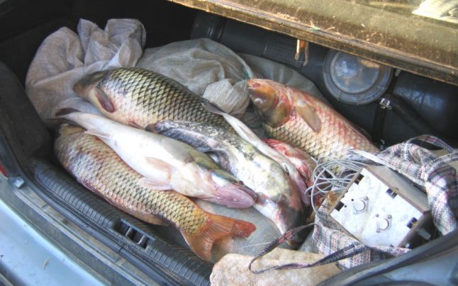 Pescari amatori dibuiţi de poliţişti Pescari amatori dibuiţi de poliţişti