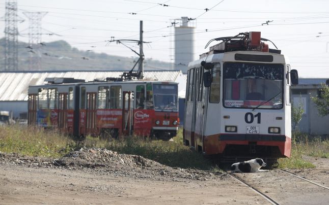 Dezinteres pentru achiziţionarea firului de tramvai Dezinteres pentru achiziţionarea firului de tramvai