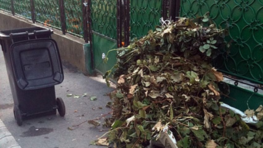 Toamna se face curățenie Toamna se face curățenie