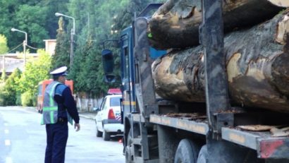 Restricțiile de tonaj blochează exploatarea lemnului în Caraș-Severin