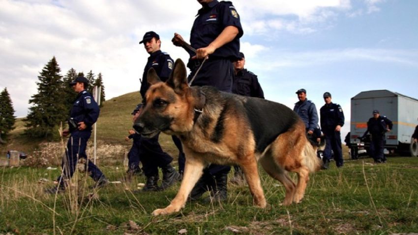 Mobilizare de forțe pentru găsirea unui copil de un an şi jumătate, dat dispărut Mobilizare de forțe pentru găsirea unui copil de un an şi jumătate, dat dispărut