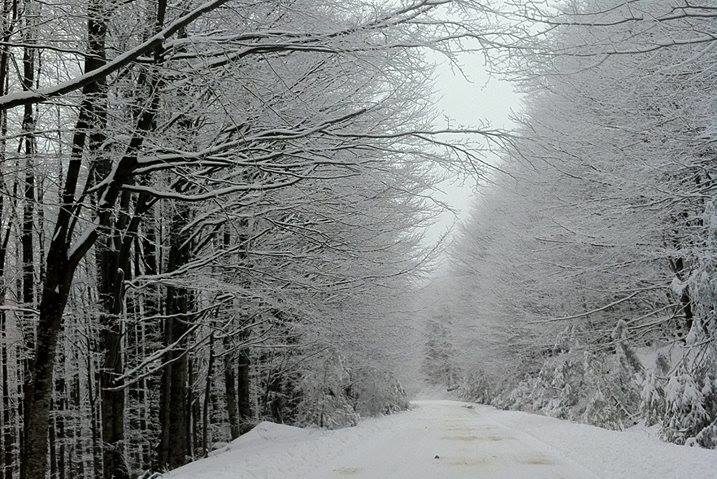 De astăzi, la schi, pe Semenic De astăzi, la schi, pe Semenic