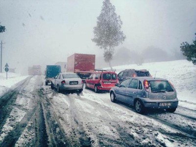 Zăpada şi vântul au afectat localităţile din Banat! Zăpada şi vântul au afectat localităţile din Banat!