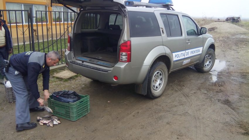Comercianţii de peşte au căzut în plasa poliţiştilor Comercianţii de peşte au căzut în plasa poliţiştilor
