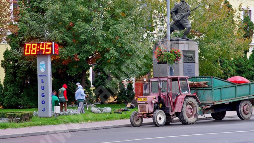 Curățenia de primăvară Curățenia de primăvară