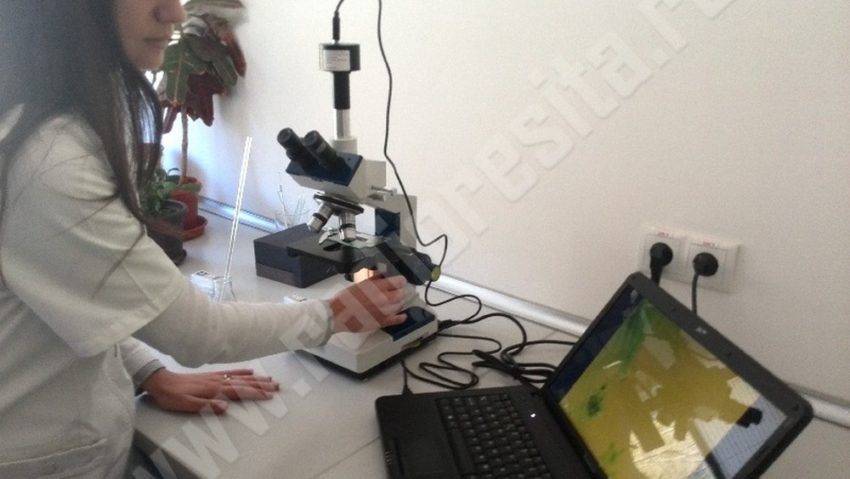 Poluare neconfirmată pe Dunăre. Manevrele la barjă în stand-by Poluare neconfirmată pe Dunăre. Manevrele la barjă în stand-by