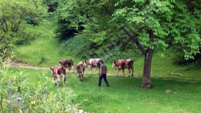 Facilităţi pentru crescătorii de animale