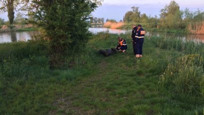 Cadavrul unui bărbat, descoperit în râul Timiş