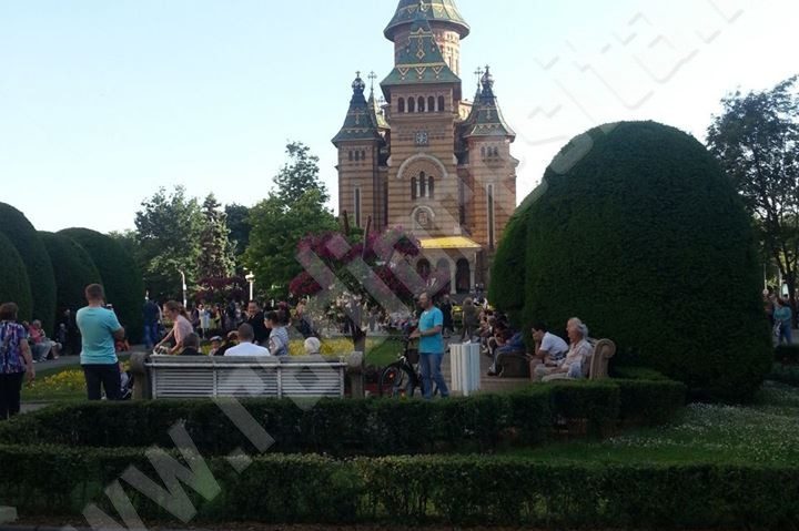 Propunere inedită. City-carduri pentru transport şi muzee Propunere inedită. City-carduri pentru transport şi muzee