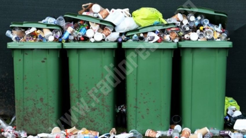 Europubele noi pentru lugojeni Europubele noi pentru lugojeni