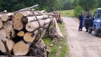 MMAP: Au început testările pentru modulele noului sistem de monitorizare a pădurilor