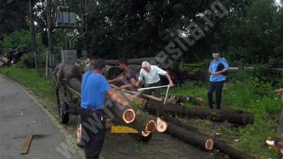 Lemnul se fură ca-n codru. Fiecare cu ce poate