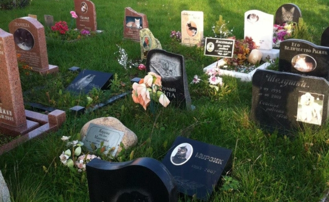 [AUDIO] Bănăţenii au cimitire pentru câini şi pisici