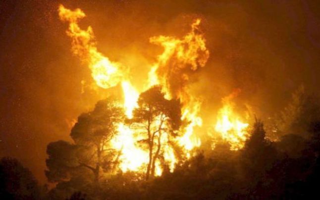 [AUDIO] Incendiu în Valea Cernei. Peste 50 de hectare de pădure ameninţate de flăcări