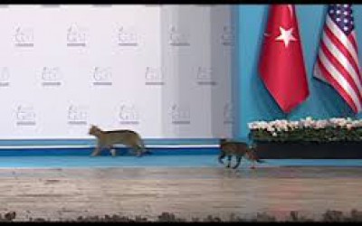 [VIDEO] Summitul G 20 din Antalya a avut trei vedete neașteptate