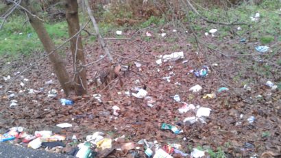 [FOTO] Malul râului Timiş, sufocat de gunoaie la Lugoj