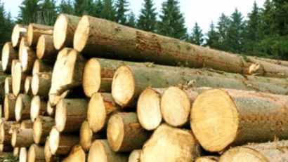 Garda Forestieră Timișoara a aplicat amenzi de 60.000 de lei în prima lună a anului