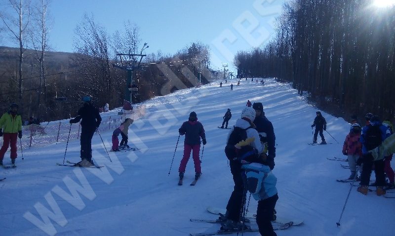 Copiii din tabăra Prietenii Munţilor vor putea să schieze gratis pe pârtia de la Văliug Copiii din tabăra Prietenii Munţilor vor putea să schieze gratis pe pârtia de la Văliug