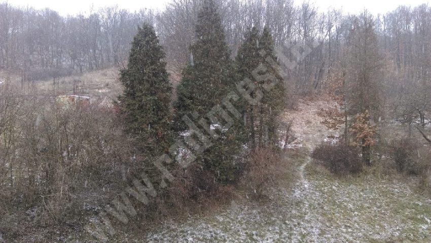 După ploi se anunţă din nou ninsori şi lapoviţă După ploi se anunţă din nou ninsori şi lapoviţă