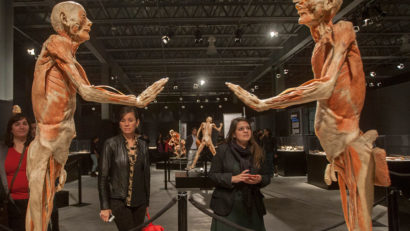 [VIDEO] Our Body la Timişoara. Se cere interzicerea expoziţiei cu cadavre reale