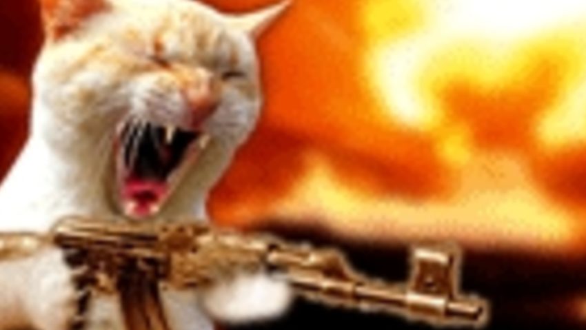 Uite… pisica! Uite… pisica!